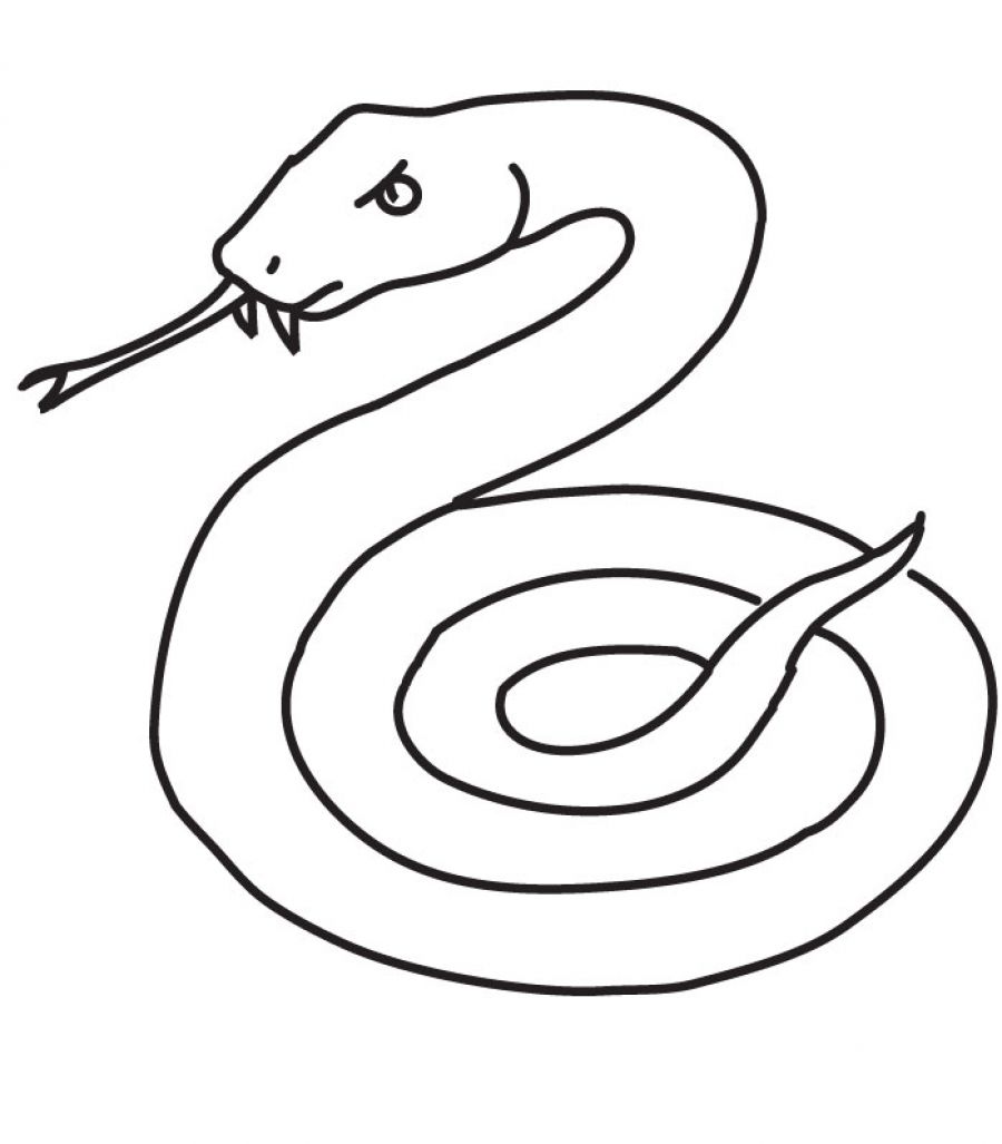 900x1027 Weird Coloring Pages Of A Snake Perfect Printable From Page