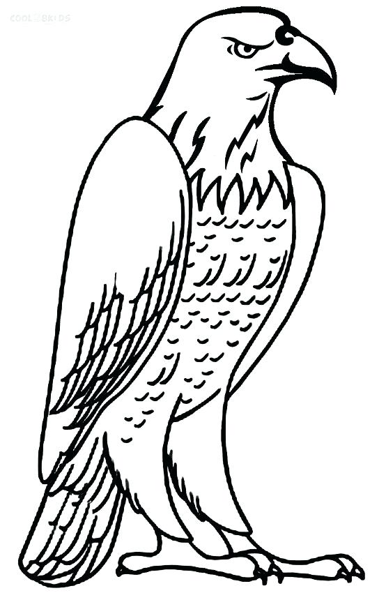 554x850 Eagles Coloring Pages Printable Bald Eagle Coloring Pages For Kids