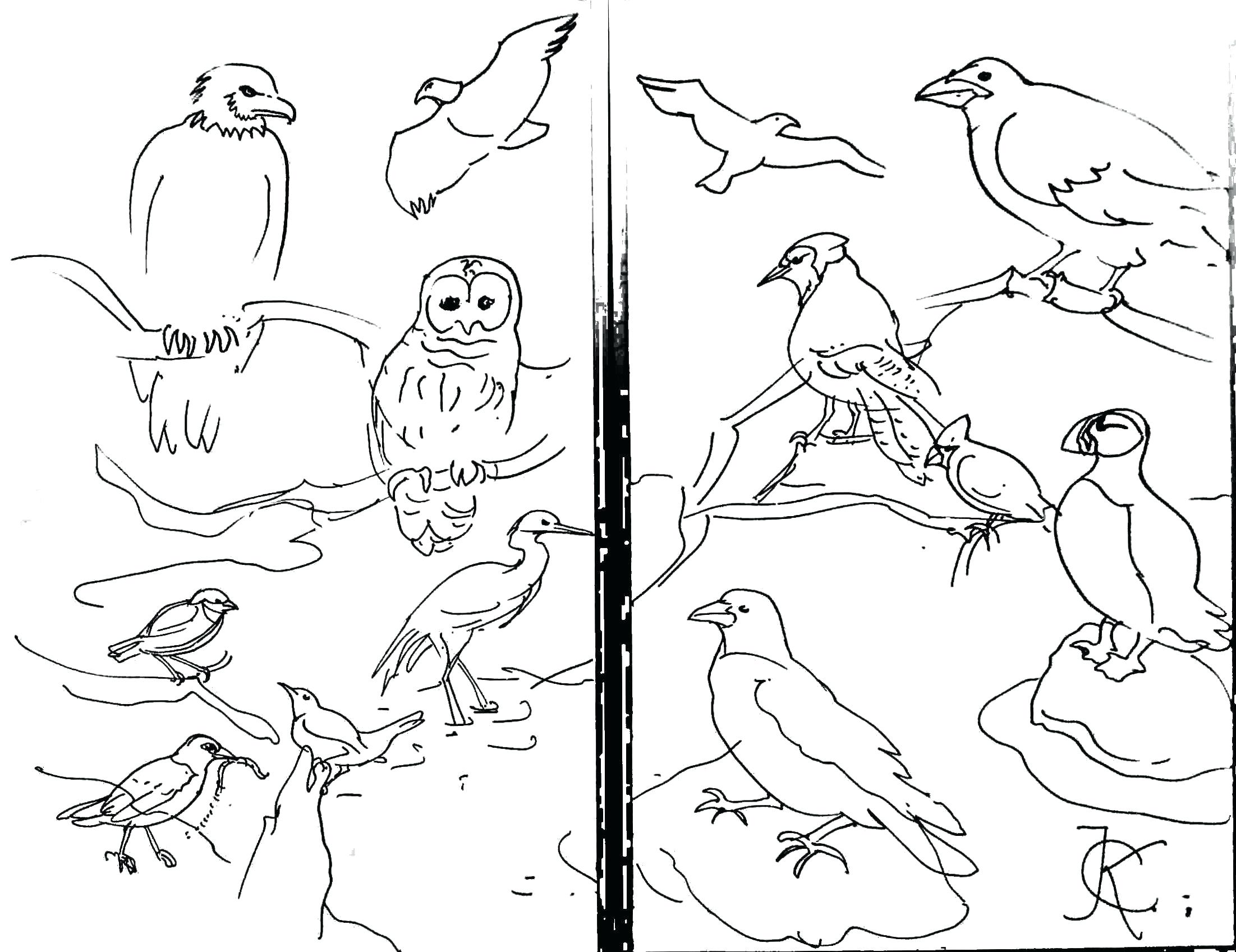 2203x1697 Coloring Pages For Kids Thanksgiving C Wendy The Blue Whale Page