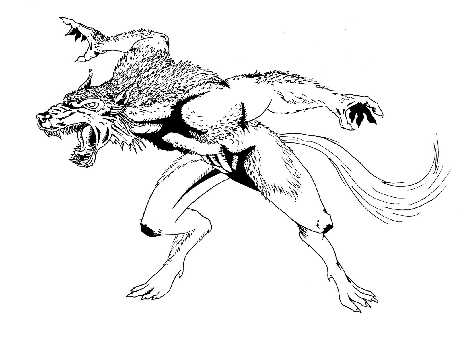 1600x1187 Werewolf Coloring Pages Google Search Sonic The Hedgehog Coloring
