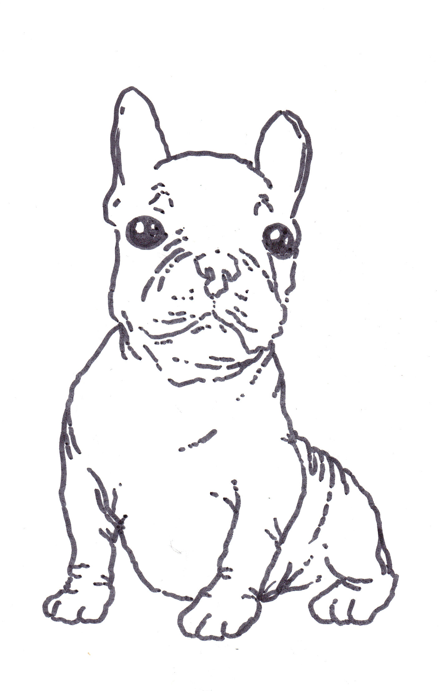 1410x2212 Nice Boston Terrier Coloring Page 68 10 Pages