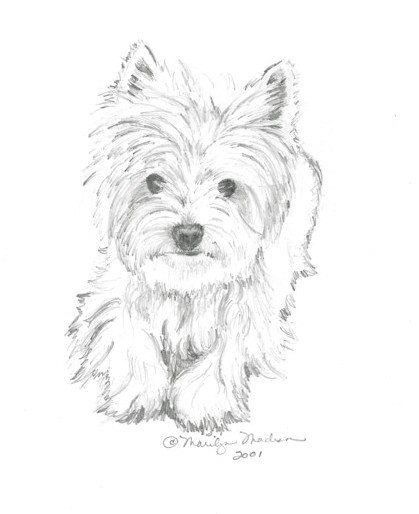 419x514 820 Best Cairn Terriers Images On Cairn Terrier, Cairn