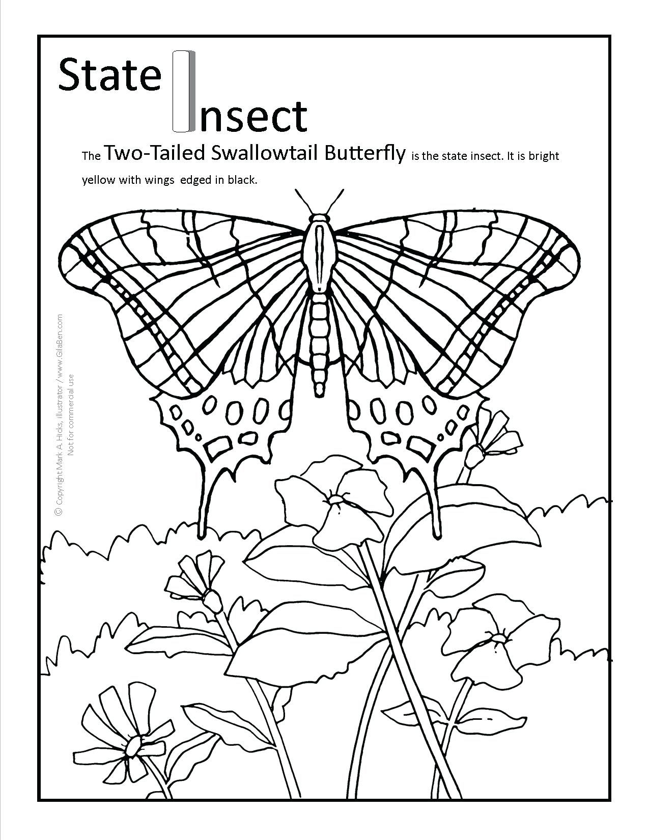 1275x1650 State Coloring Pages Iowa Fair Michigan Bird Page Flag Wyomi
