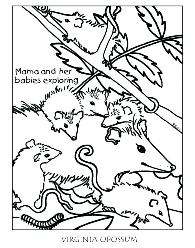 671x853 Virginia Coloring Page Classroom Pack Of Coloring Pages All About