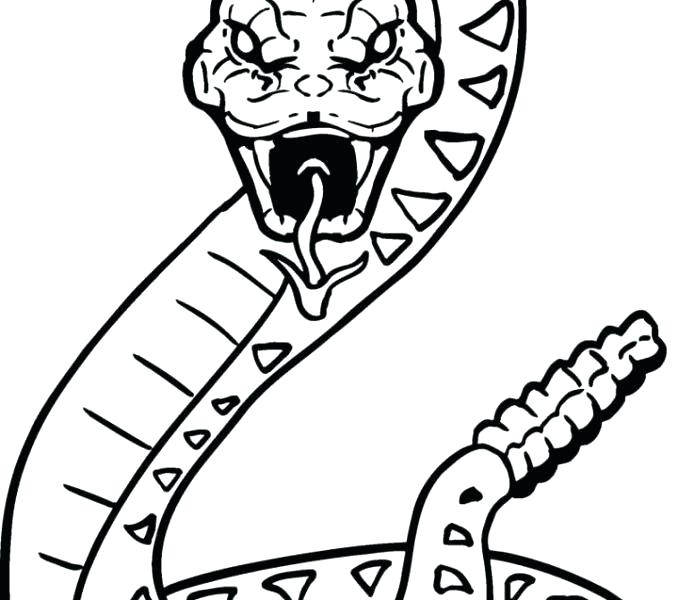 678x600 Rattlesnake Coloring Page Coloring Pages Of Snakes And Snake