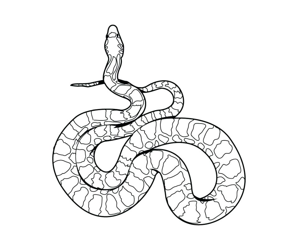 970x750 Rattlesnake Coloring Page Coloring Rattlesnake Coloring Pages