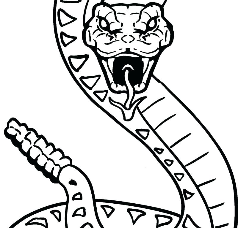 800x768 Rattlesnake Coloring Page Rattlesnake Coloring Page Download