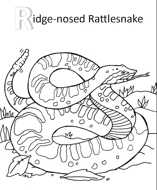 530x642 Rattlesnake Coloring Page Rattlesnake Coloring Page Related Post