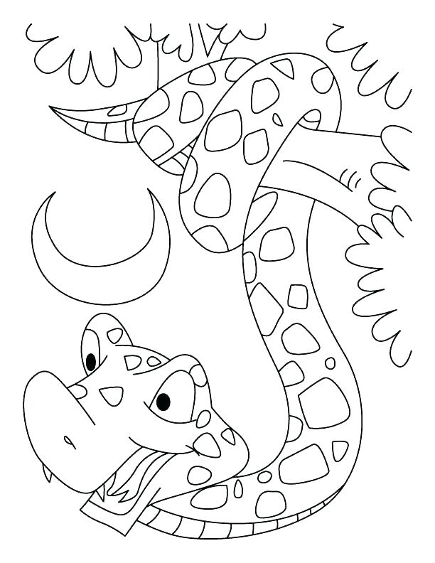 612x792 Rattlesnake Coloring Page Snake Color Page Snake Color Page Year