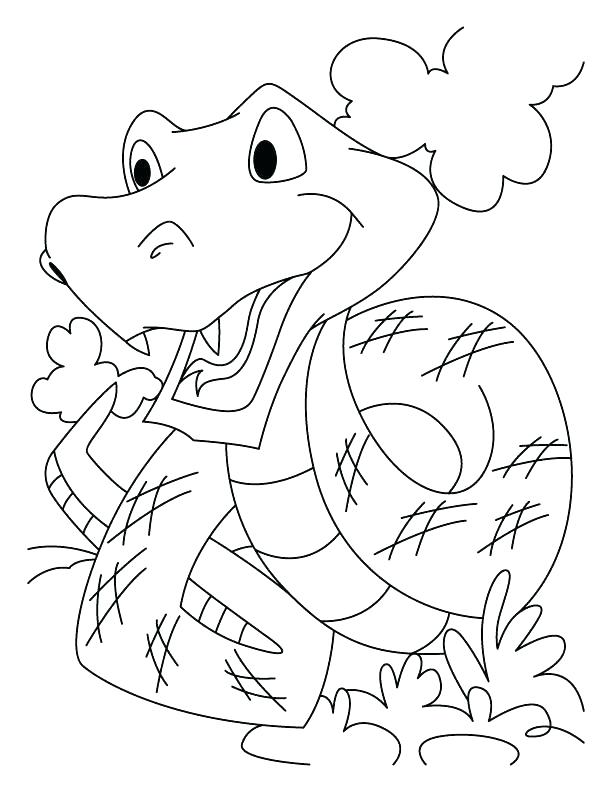 612x792 Rattlesnake Coloring Page Snake Coloring Pictures The Longest