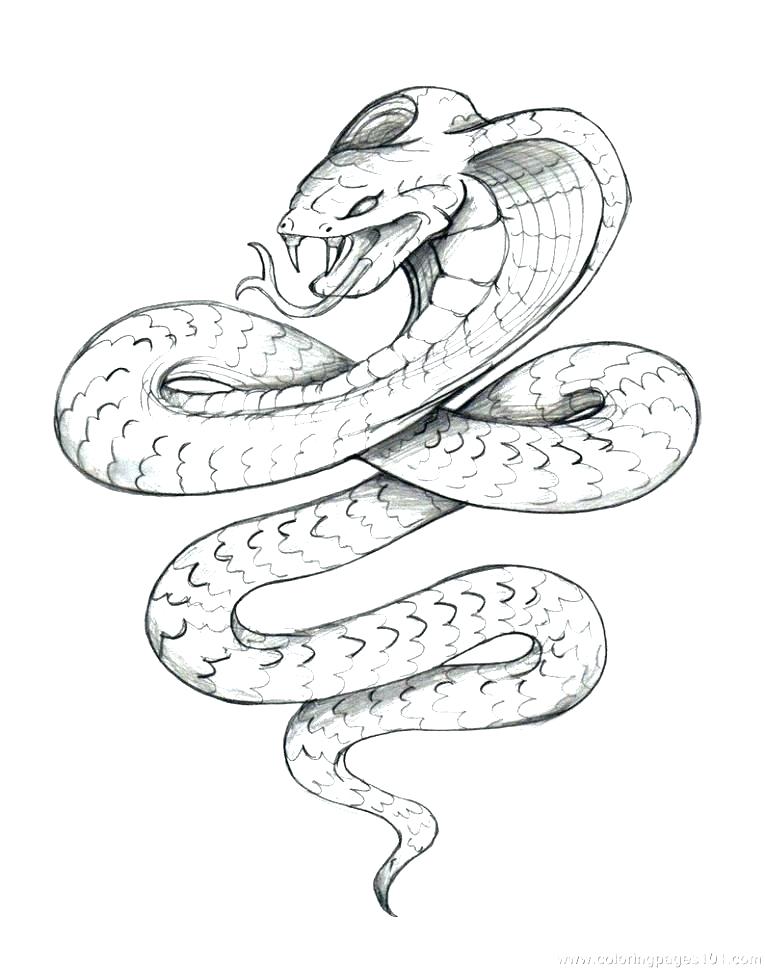 765x969 Rattlesnake Coloring Pages Click To See Printable Version Of Angry