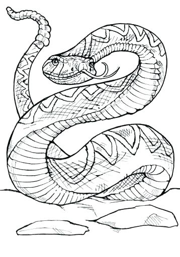 358x512 Rattlesnake Coloring Pages Rattlesnake Coloring Pages Western