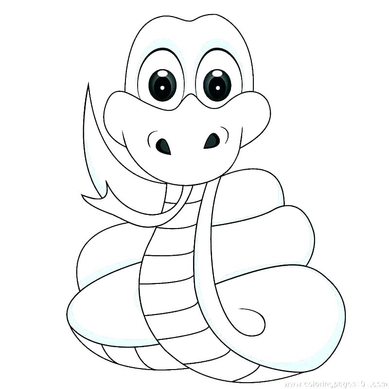 800x800 Rattlesnake Coloring Pages Ridge Nosed Rattlesnake Coloring Page