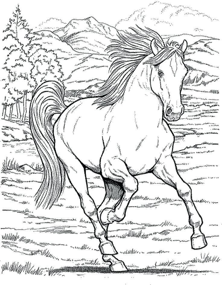 736x945 Awesome Western Coloring Pages And 12 Western Town Coloring Pages