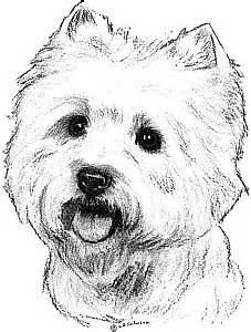 227x300 Westie Coloring Pages