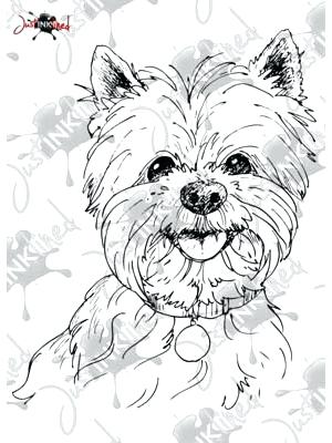 300x400 Westie Coloring Pages Digital Stamp West Highland Terrier Westie
