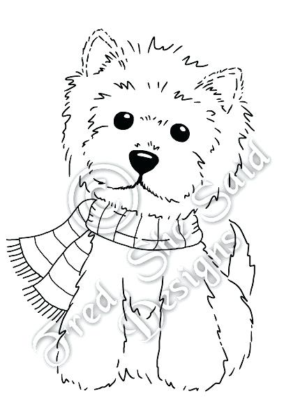 440x600 Westie Coloring Pages Westie Coloring Pages The Store Winter