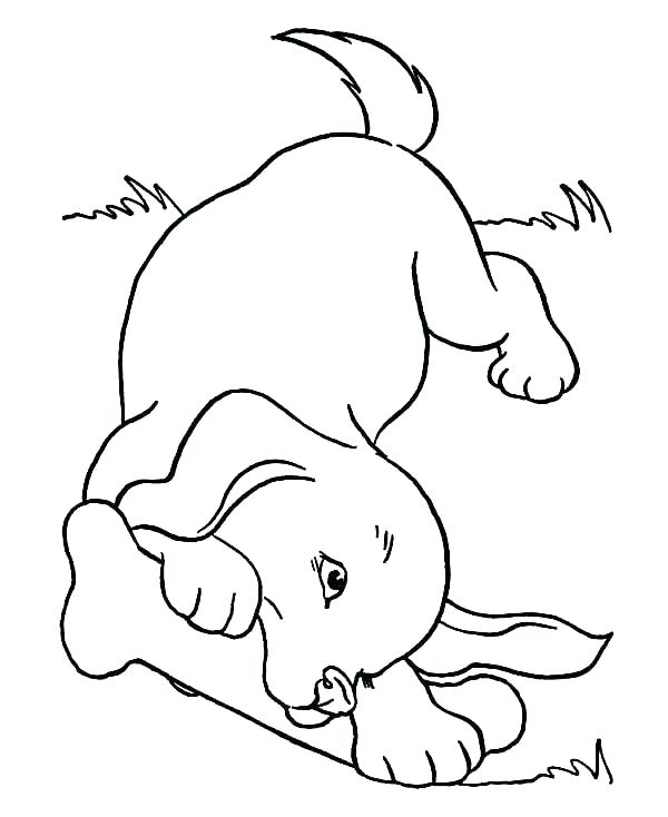 600x734 Cartoon Dog Coloring Pages Dogs Coloring Pages Flamingo Coloring