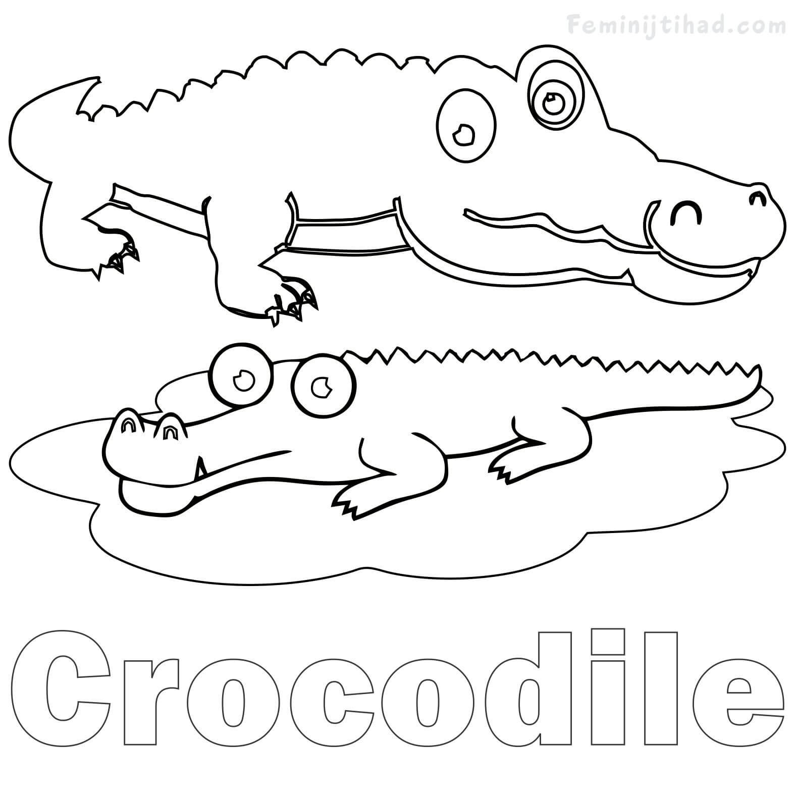 1575x1575 Crocodile Coloring Pages Printable Coloring Pages For Kids