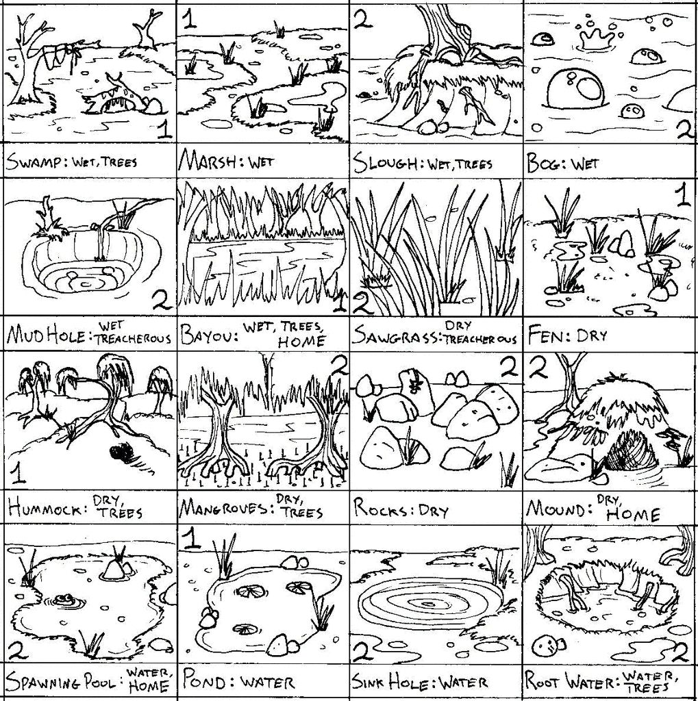 1019x1024 Incredible Coloring Pages Of Wetland Forest Pict Animal Style