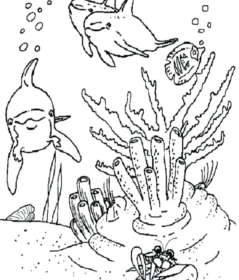 768x900 Animal Habitat Coloring Pages Ocean Animal Coloring Pages Kids