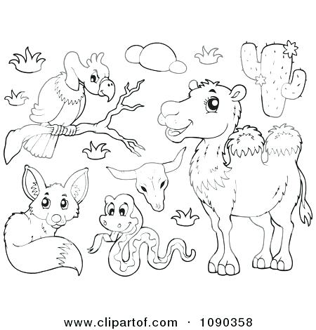 450x470 Plants And Animals Wetlands Plants And Animals Coloring Book
