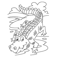 230x230 Top 10 Free Printable Crocodile Coloring Pages Online