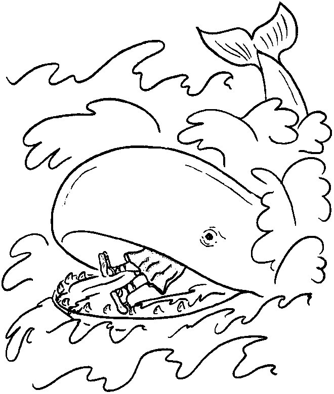 660x780 Free Printable Whale Coloring Pages For Kids