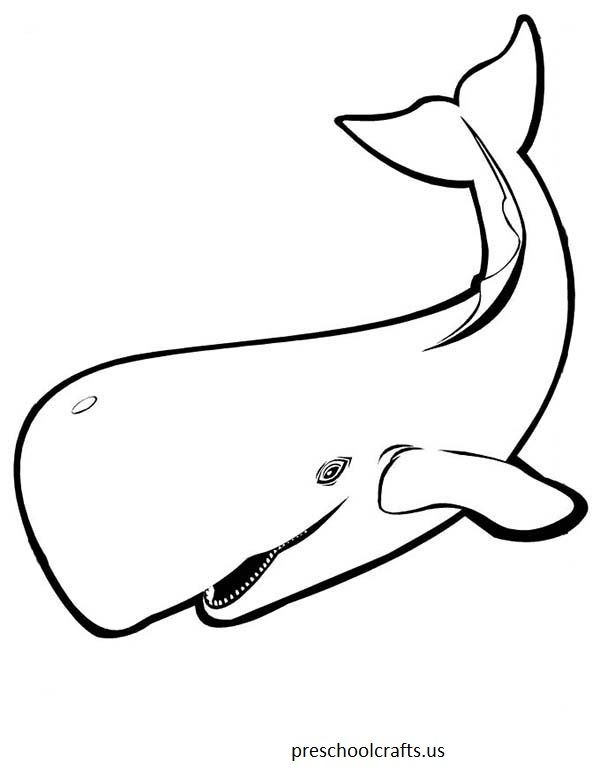 600x776 Whale Coloring Pages For Preschool