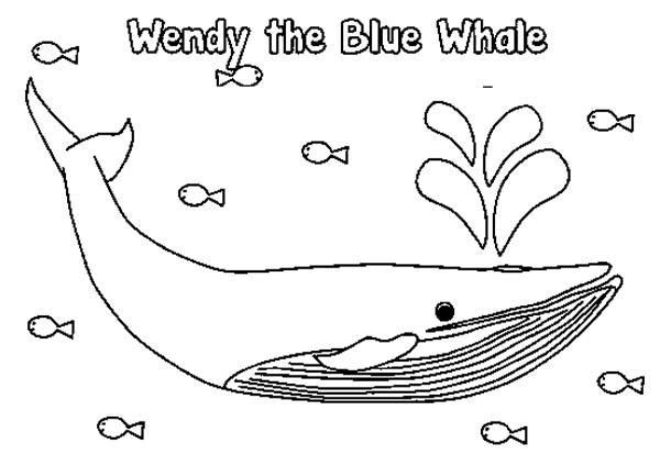 600x424 Blue Whale Coloring Page Color Bros