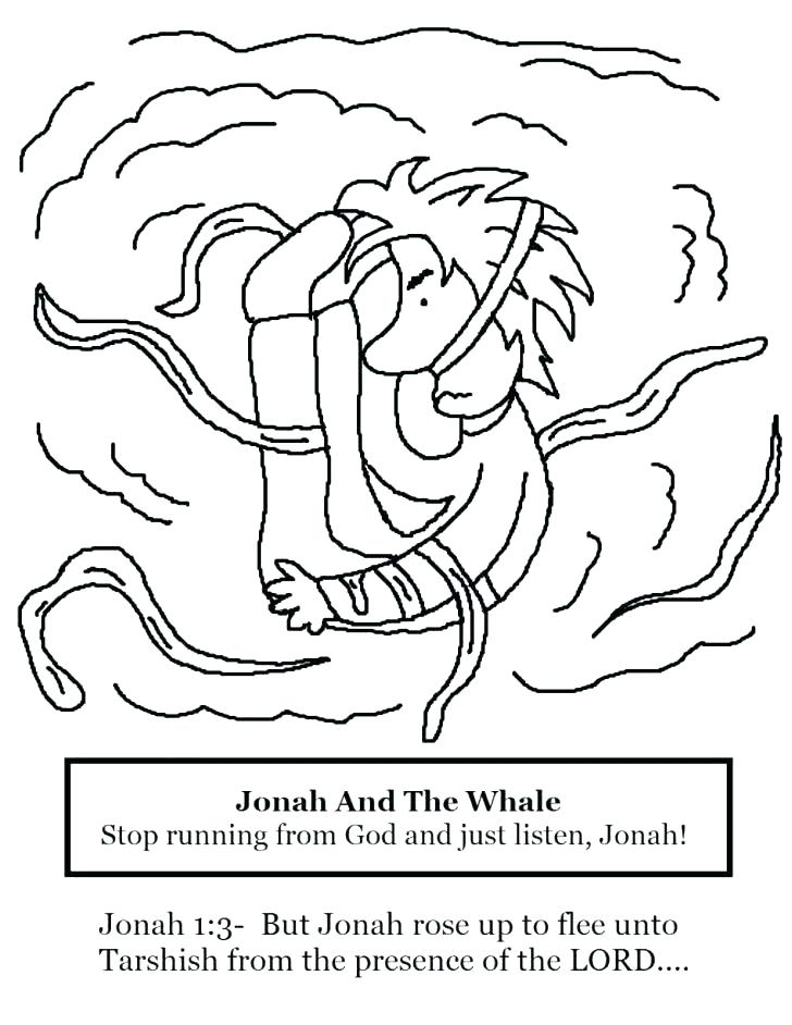 728x942 Whale Colouring Pictures Whales Coloring Pages And The Whale