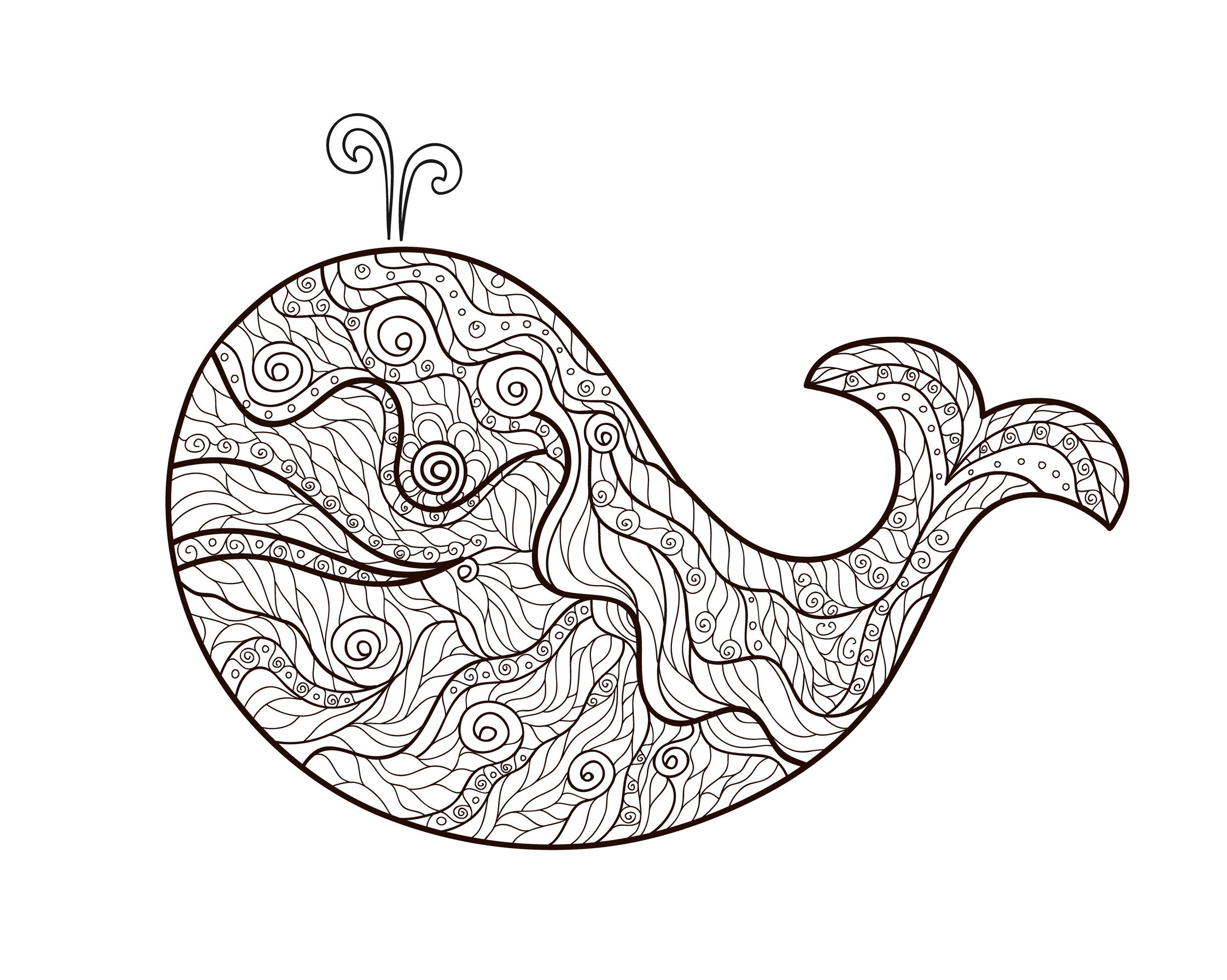 2244x1792 Zentangle Whale By Meggichka