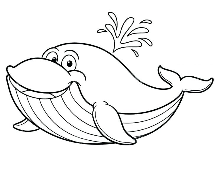 728x591 Awesome Size Of A Blue Whale Coloring Page Pages Flowers