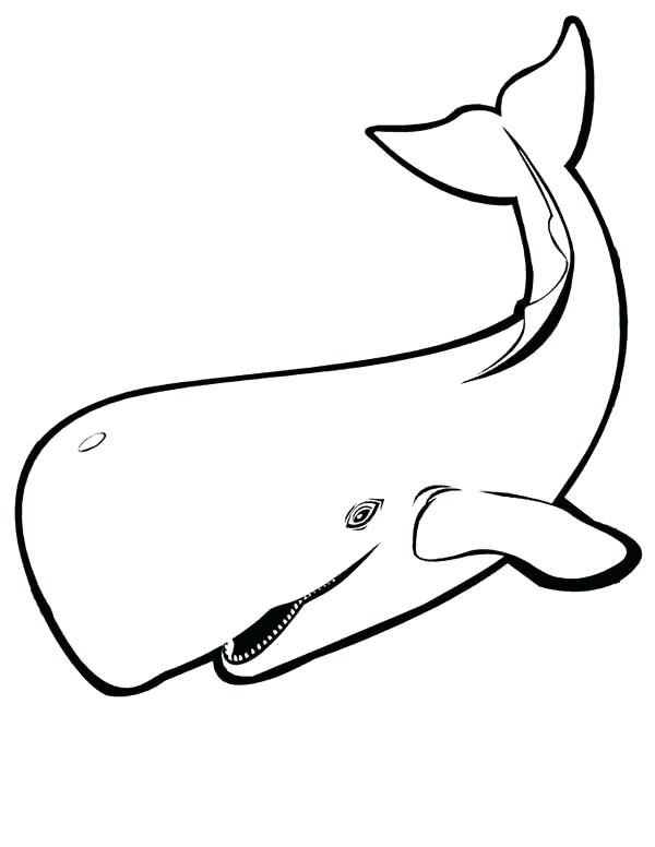 600x776 Top Whale Coloring Pages Free Coloring Page Orca Whale Colouring
