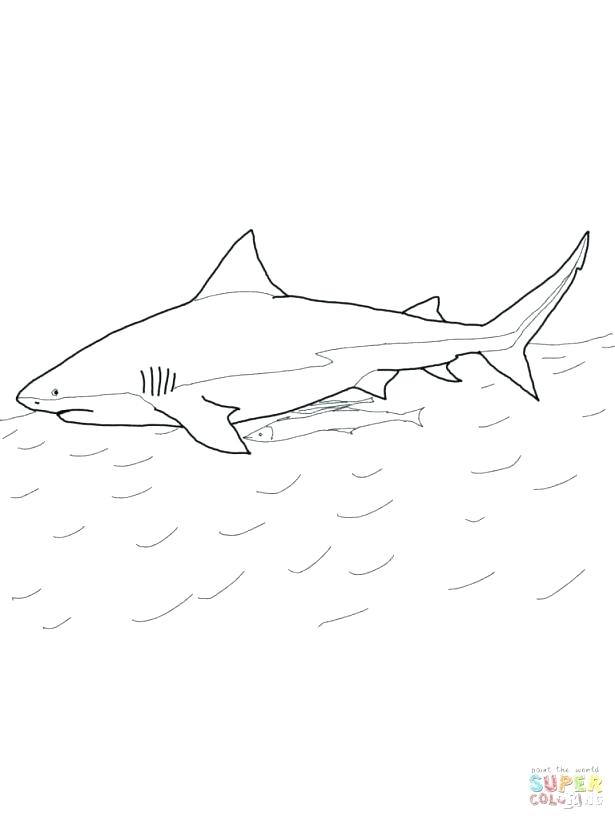 615x820 Whale Shark Coloring Page Whale Shark Coloring Page Medium Size