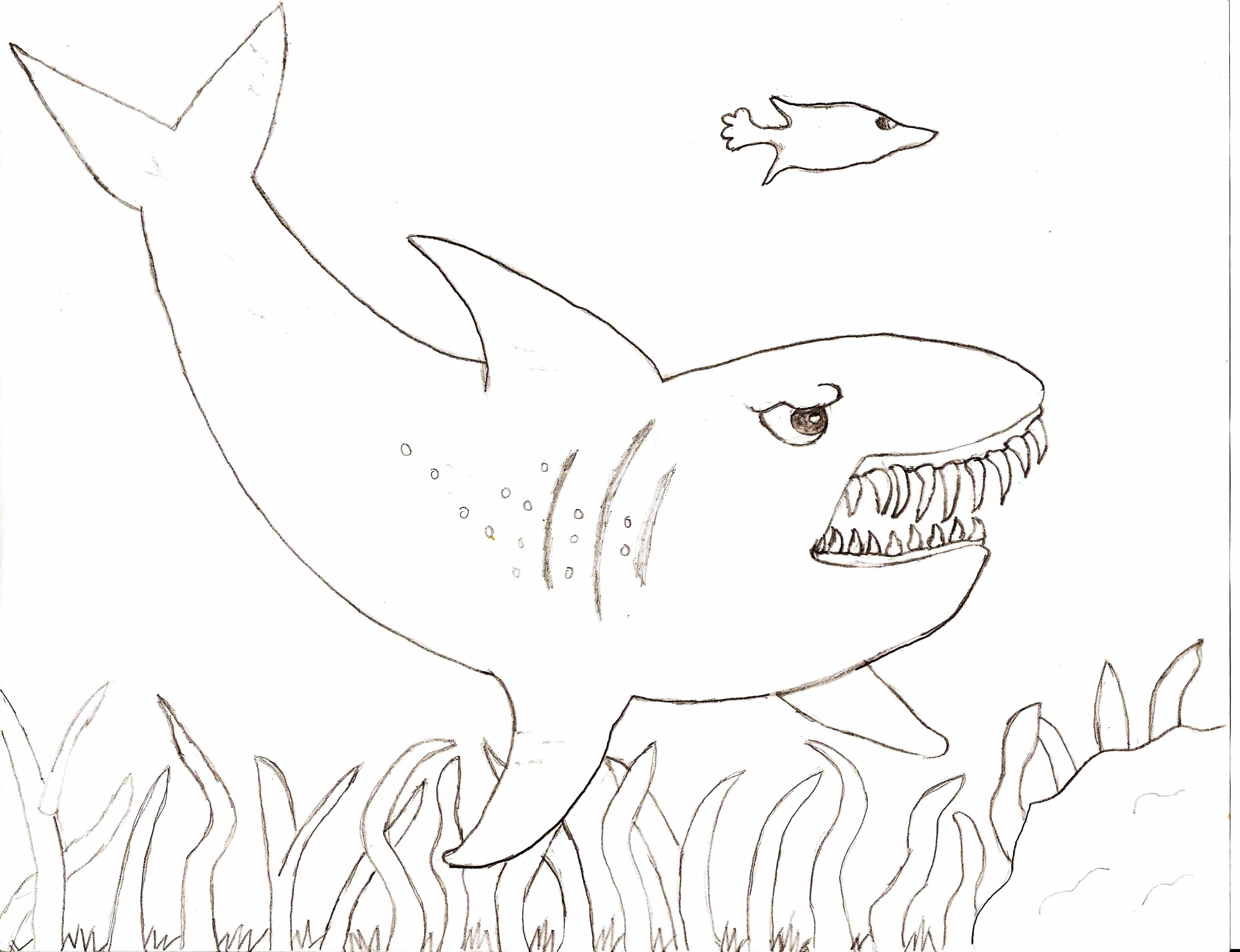 3317x2546 Whale Shark Coloring Page To Print