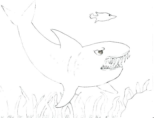 618x474 Whale Shark Coloring Pages Tiger Shark Coloring Page Whale Shark