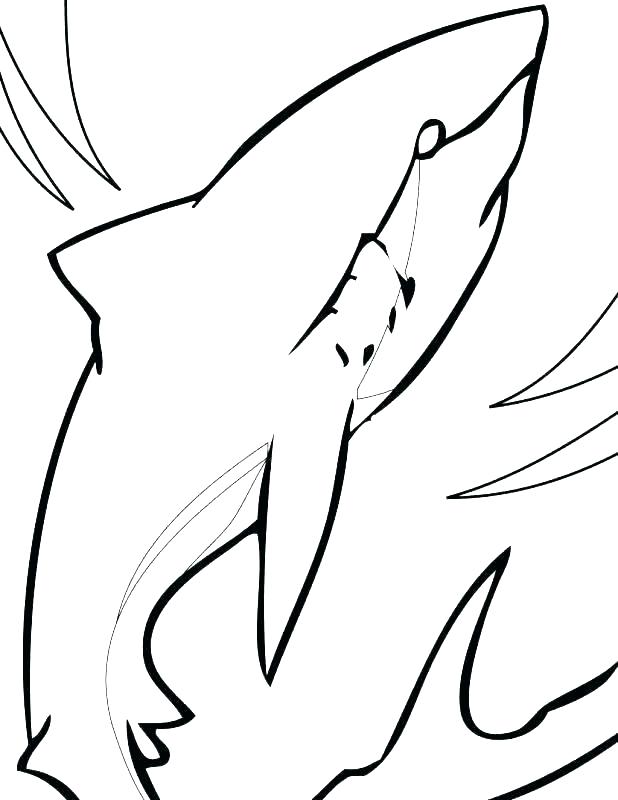618x800 Whale Shark Coloring Pages