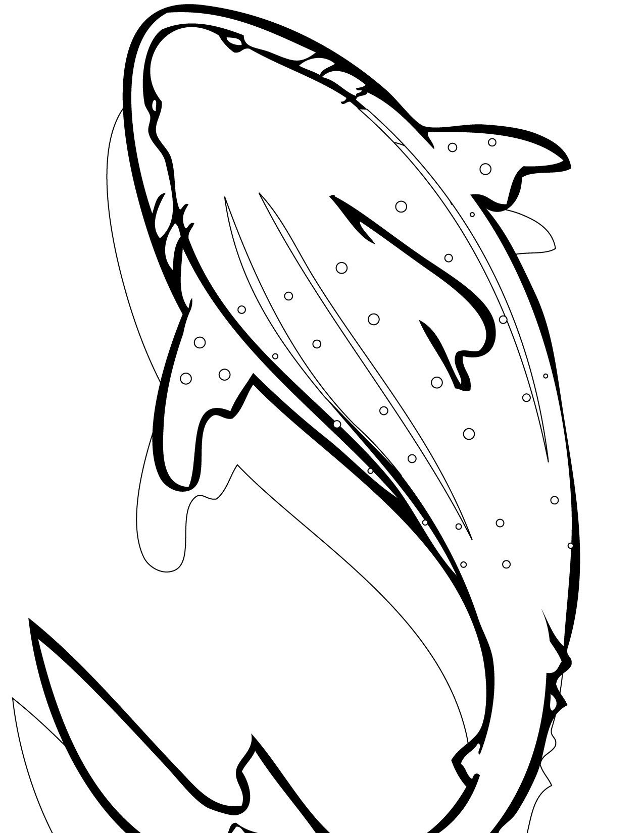 1275x1650 Modest Whale Shark Coloring Page Delivered 6 On Pages With 6433