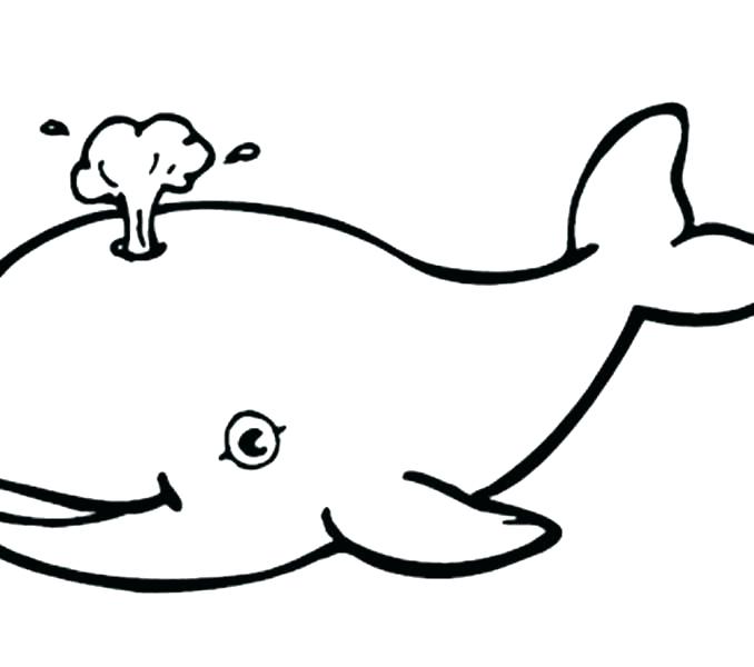 678x600 Octonauts Whale Shark Coloring Page Beluga Pages