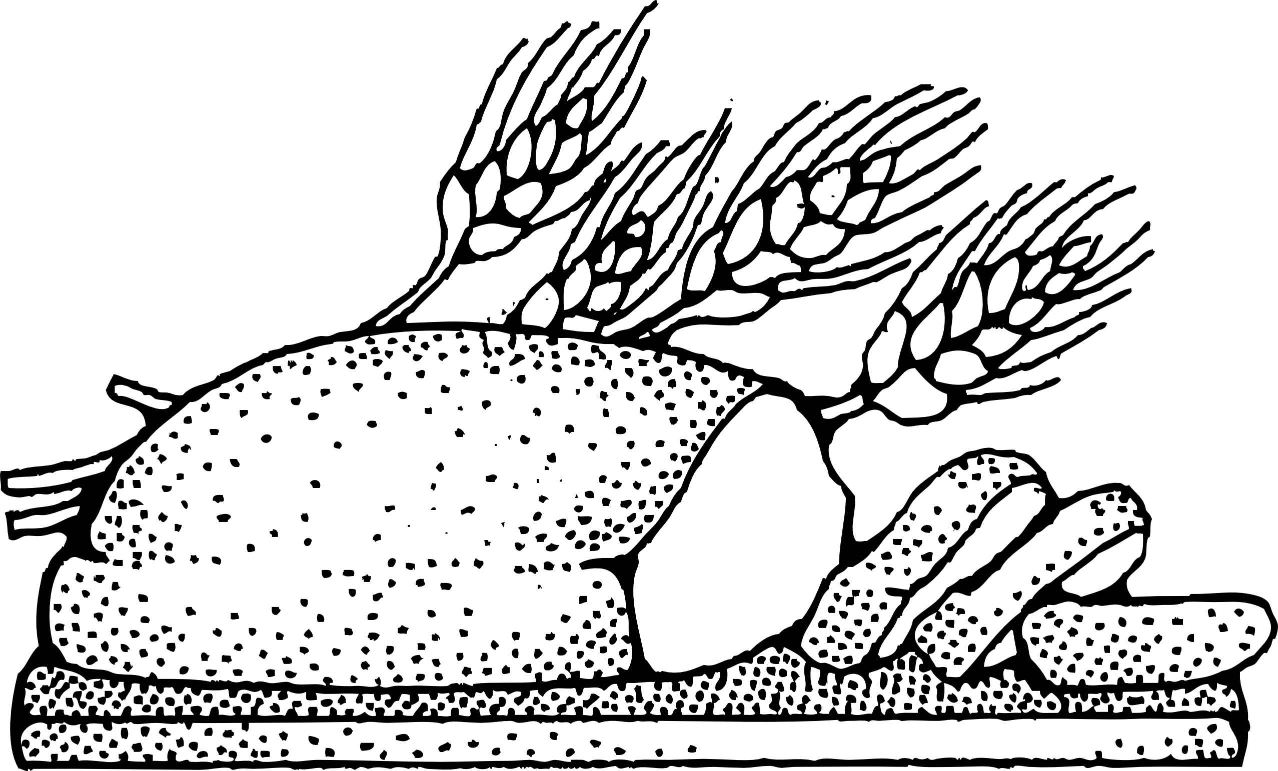 2555x1542 Coloring Pages Bread Wheat Within