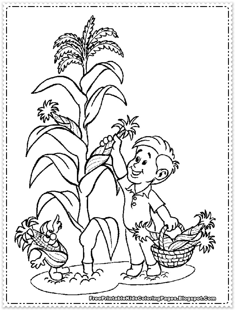 810x1066 Corn Coloring Pages Printable