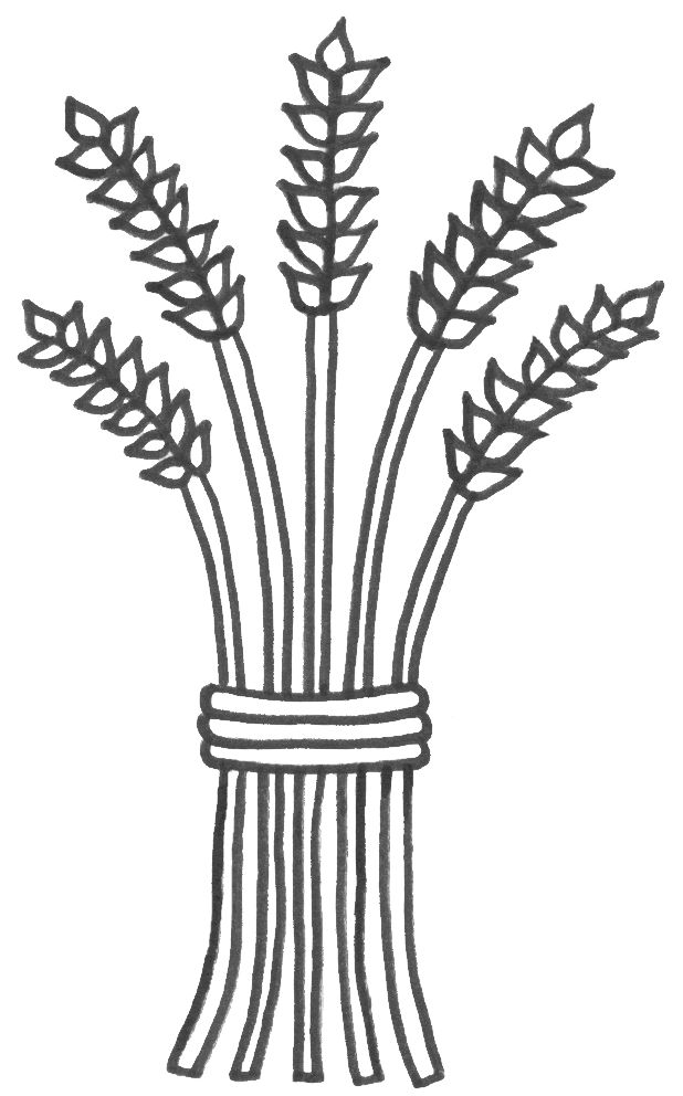 618x992 111 Best Images On Embroidery, Wheat Drawing