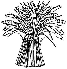 236x241 Sheaves Of Wheat Coloring Page Books!
