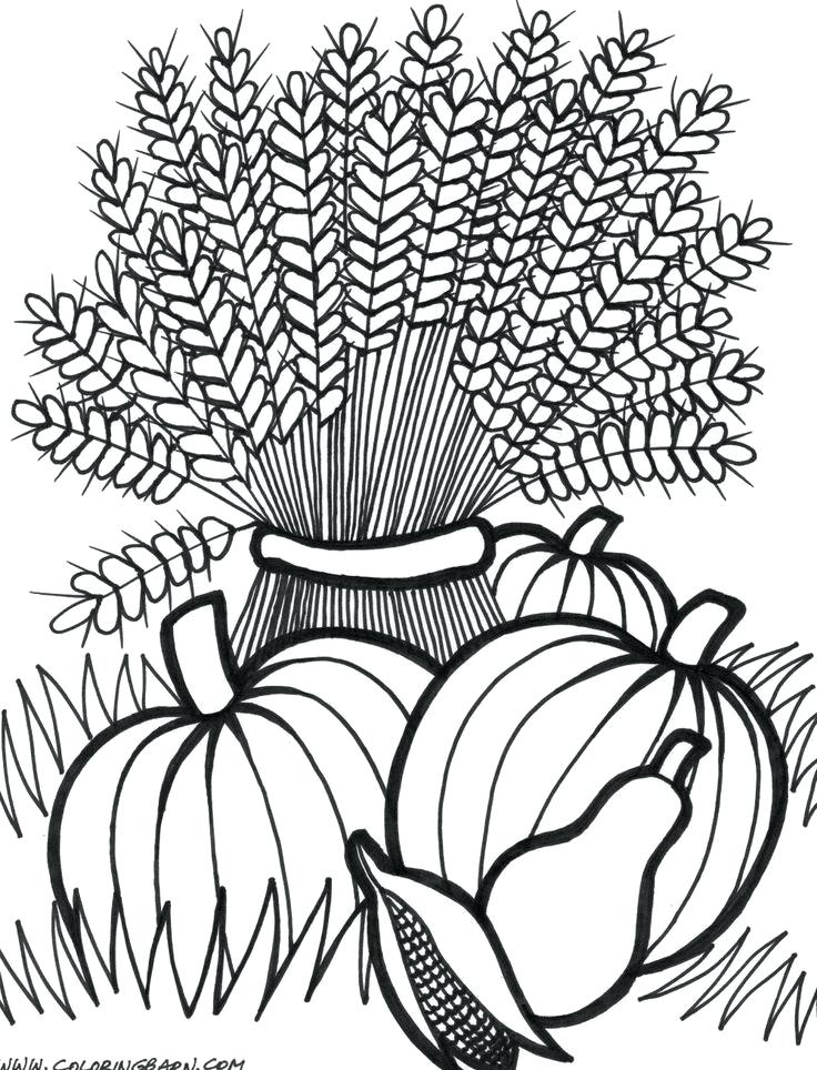 736x964 Thanksgiving Coloring Pages For Adults Thanksgiving Wheat Coloring