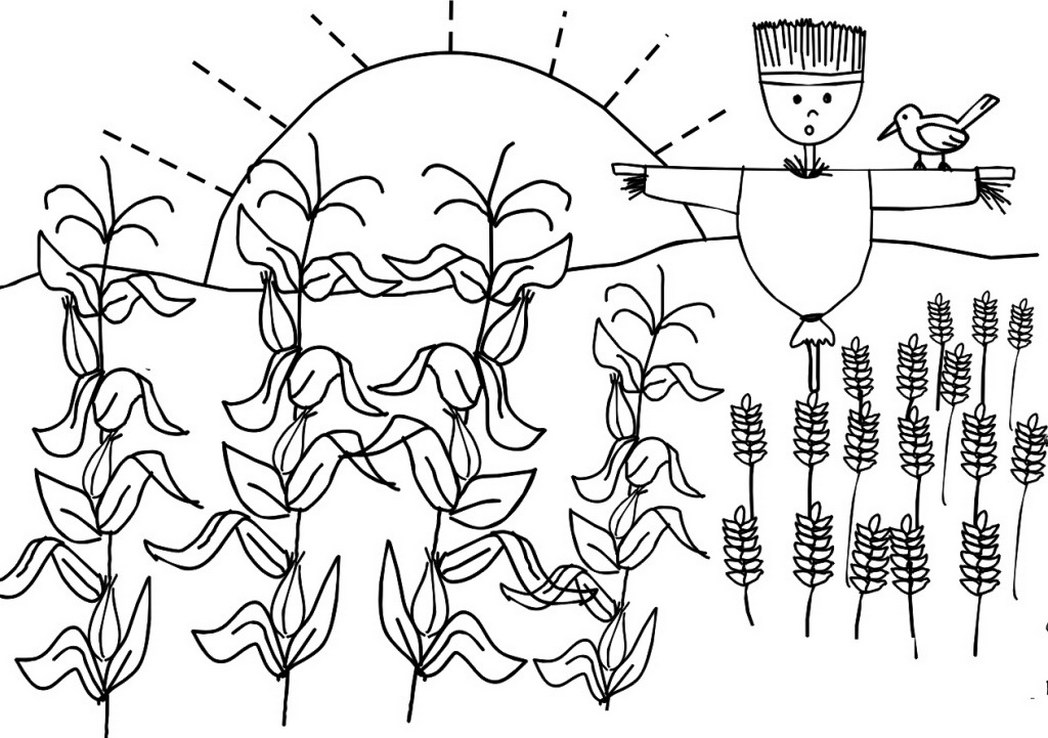 1048x738 Corn And Wheat Crops Coloring Pages Farmer Day 823904 Coloring