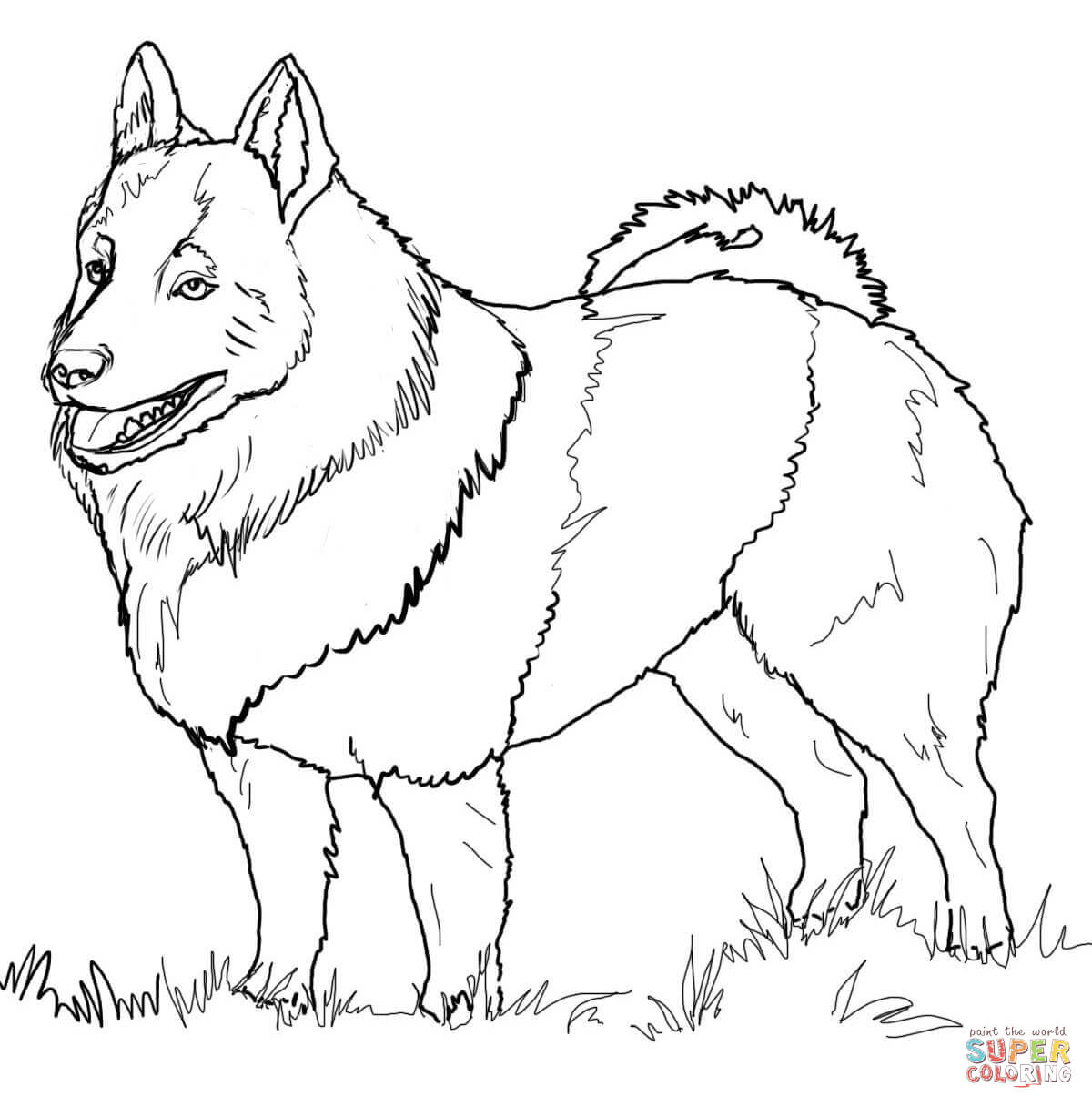 1200x1216 Fashionable Labradoodle Animal Coloring Pages Labrador
