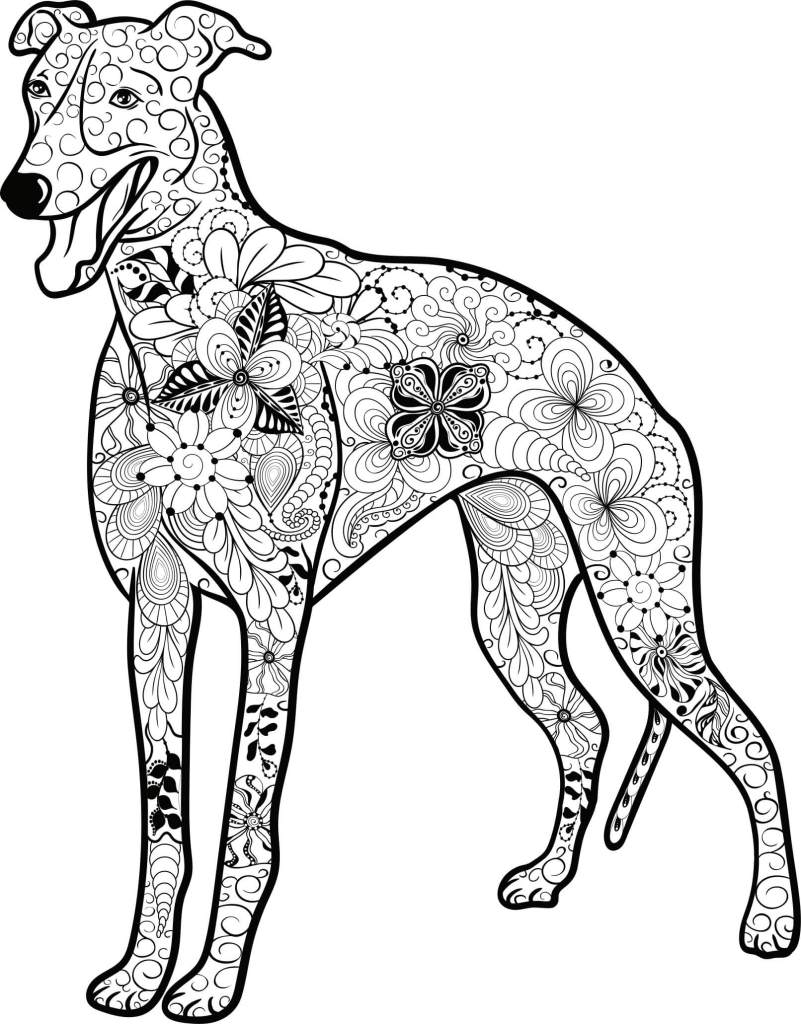 801x1024 Kostenloses Ausmalbild Hund
