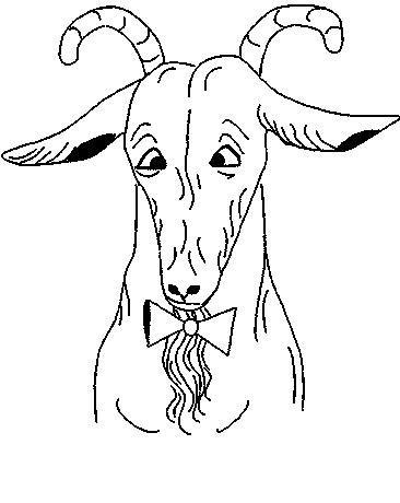 366x460 Orchids Coloring Page 1