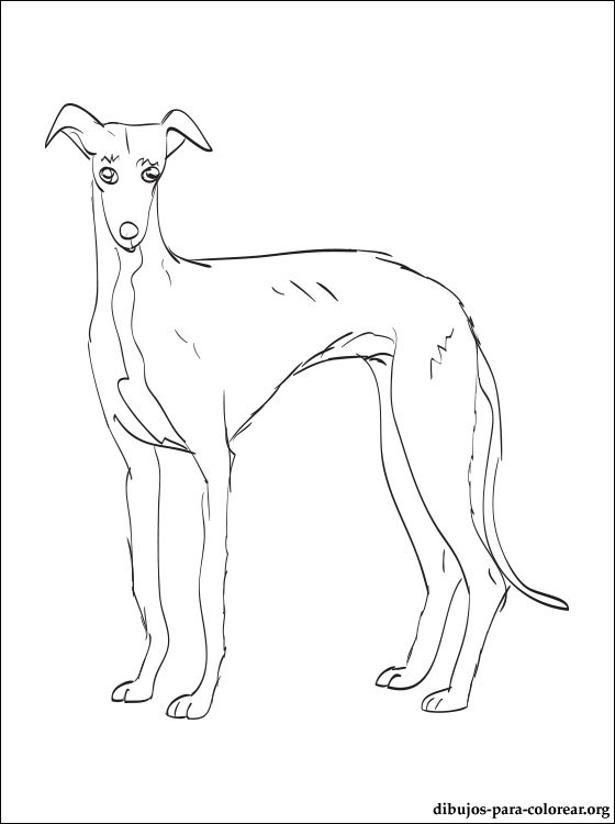 560x750 25 Pluto Coloring Pages Selection Free Coloring Pages